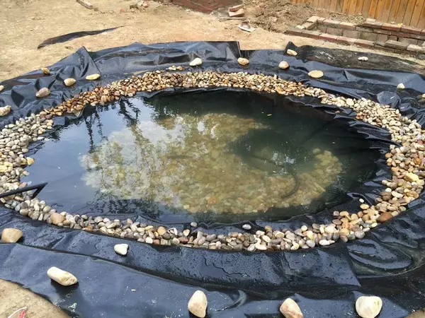 成功解决了传统封口机负压开关易进水的技术难题