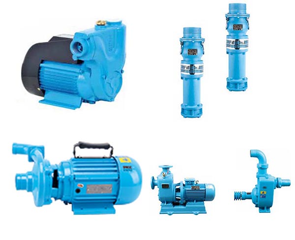 注册资本达5000万人民币